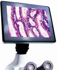 CellPad E